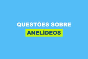 Questões sobre Anelídeos