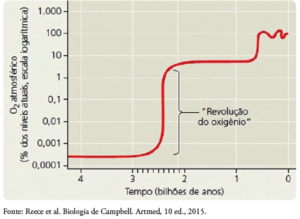 Questão comentada sobre análise de gráfico e origem das mitocôndrias