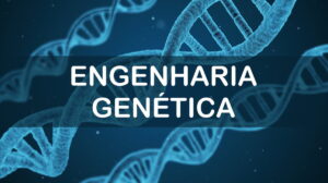 Questões sobre engenharia genética