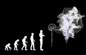Questões sobre Evidências da Evolução